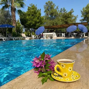 book here